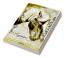 Pegasus: The poetry Collection