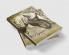 Pegasus: The poetry Collection