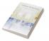 Urban Planning (A Literature Review)