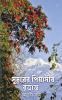 Sudurer Pyasir Brittanta
