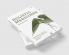Holistic Medicines