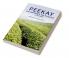 Peekay the Wayfarer Tea Planter - 2nd Edition