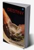 Destiny - Is it Fixed or Need to be Fixed?