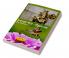 Bhagvad Geeta - Vigyan Khand