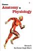Human Anatomy And Physiology