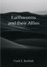Earthworms and their Allies