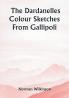 The Dardanelles Colour Sketches From Gallipoli