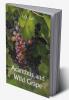 Acanthus and Wild Grape