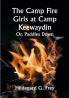 The Camp Fire Girls at Camp Keewaydin; Or Paddles Down