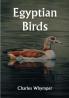 Egyptian Birds