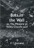 Bats in the Wall; or The Mystery of Trinity Church-yard