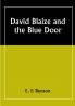 David Blaize and the Blue Door