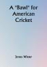 A "Bawl" for American Cricket