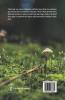 Elementary Botany