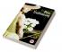 Mrs Dalloway