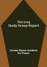 The Iraq Study Group Report