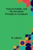Natural Stability and the Parachute Principle in Aeroplanes