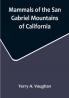 Mammals of the San Gabriel Mountains of California