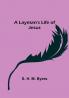 A Layman's Life of Jesus