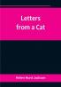Letters from a Cat