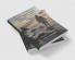 NATURE AND FORESTS + WORDS AND WORDS + GLITTERING WORLD (Stories)