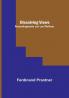 Dissolving Views: Romanfragmente von Leo Wolfram.