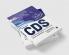 CDS 2023 Guide