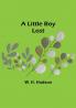 A Little Boy Lost