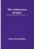 Die schwarzen Brüder: Eine abentheuerliche Geschichte. 1/3