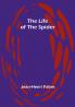 The Life of the Spider