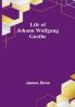 Life of Johann Wolfgang Goethe