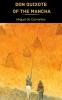Don Quixote of the Mancha