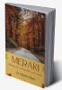 Meraki Shaping the Unshapeable With Meraki...!!