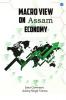 Macro view on Assam economy
