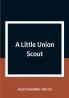 A Little Union Scout