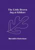 The Little Brown Jug at Kildare