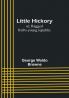Little Hickory: or Ragged Rob's young republic