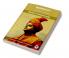 Worship: The Path to The Atman (by ITP Press)