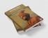 On Feelings: A Guide to Emotional Maturity (by ITP Press)