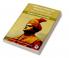 Famous Christian Personalities: Adam Jesus Milton and Moses (by ITP Press)