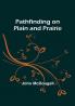 Pathfinding on Plain and Prairie