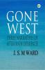 Gone West: Three Narratives of After-Death Experiences
