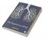 The Mysterious Affair