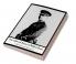 The Collected Poems of Wilfred Owen