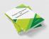 Principles of Management and Organizational Structure