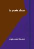 Le petit chose
