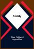 Sandy