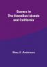 Scenes in the Hawaiian Islands and California