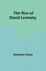 The Rise of David Levinsky