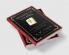 The Message of the Bible: Following Our Master To Calvary